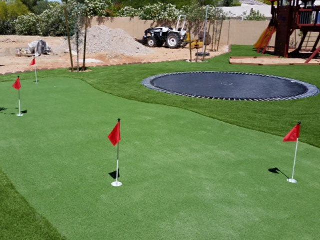 Grass Carpet Lockington, Ohio Putting Green Carpet, Backyards