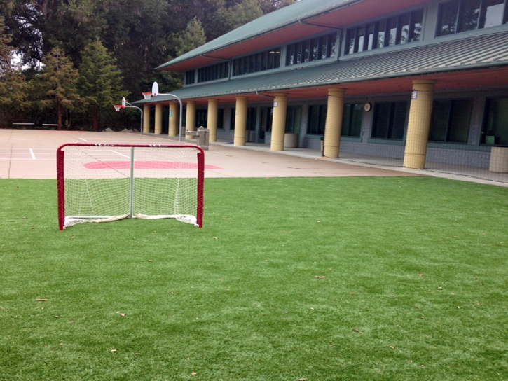 Grass Carpet Moraine, Ohio Backyard Sports, Commercial Landscape