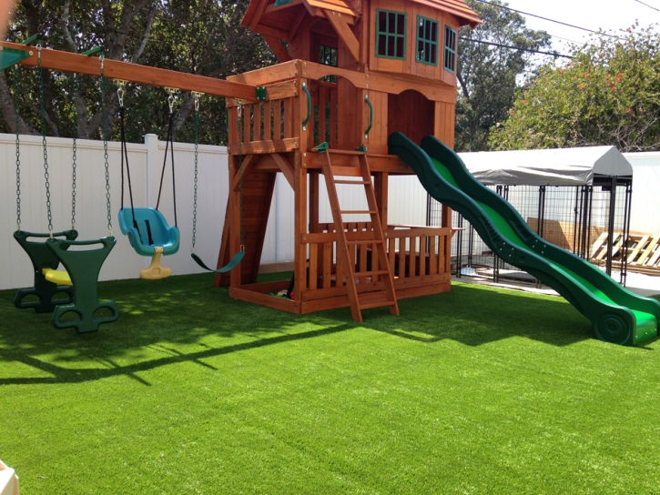 Grass Carpet New Carlisle, Ohio Playground Turf, Backyard Landscape Ideas
