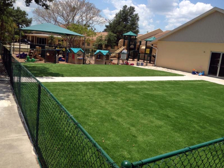 Grass Carpet Urbana, Ohio Gardeners, Commercial Landscape