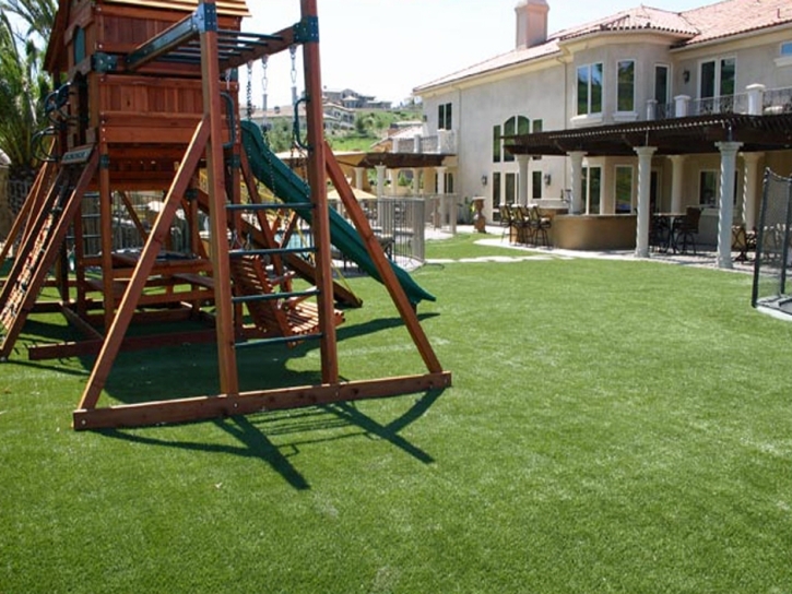 Grass Turf Prospect, Ohio Lawn And Garden, Backyards