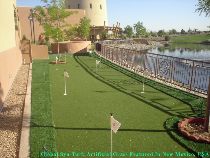 How To Install Artificial Grass Marble Cliff, Ohio Putting Green Turf, Backyard Ideas
