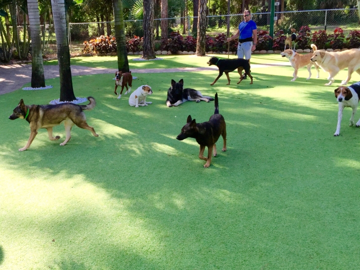How To Install Artificial Grass Piqua, Ohio Artificial Grass For Dogs, Dog Kennels