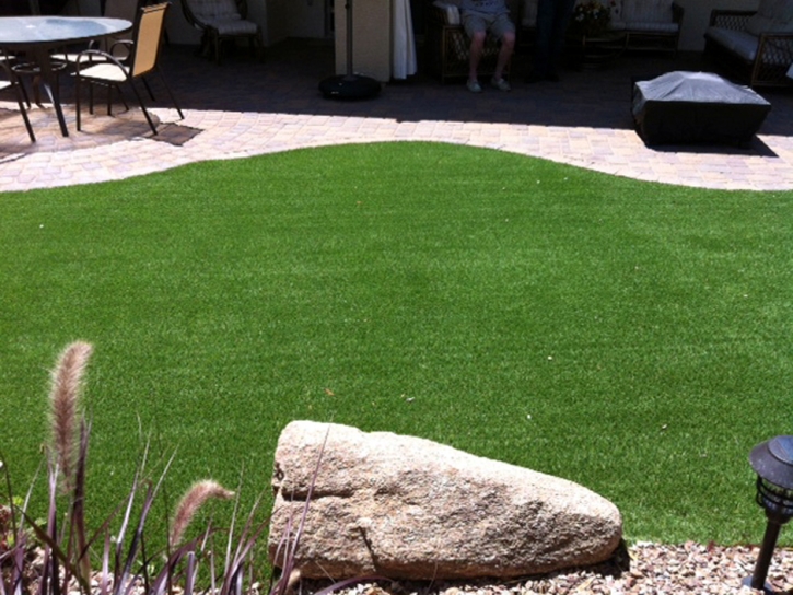 How To Install Artificial Grass South Webster, Ohio Hotel For Dogs, Backyard Landscaping Ideas