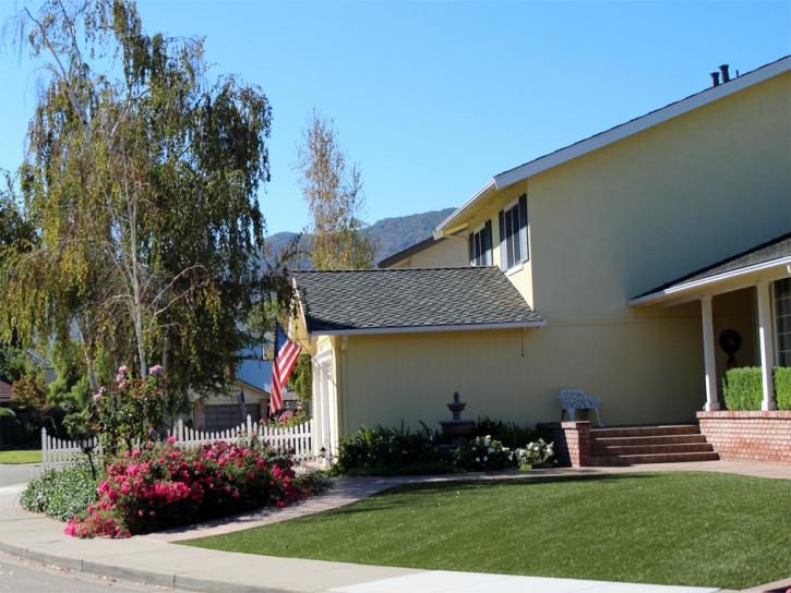 Installing Artificial Grass Mowrystown, Ohio Lawn And Garden, Front Yard Landscape Ideas
