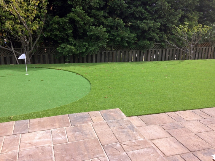 Lawn Services London, Ohio Artificial Putting Greens, Small Backyard Ideas