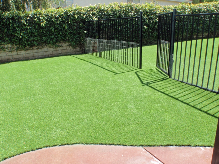 Outdoor Carpet Rosewood, Ohio Pet Grass, Front Yard Landscaping