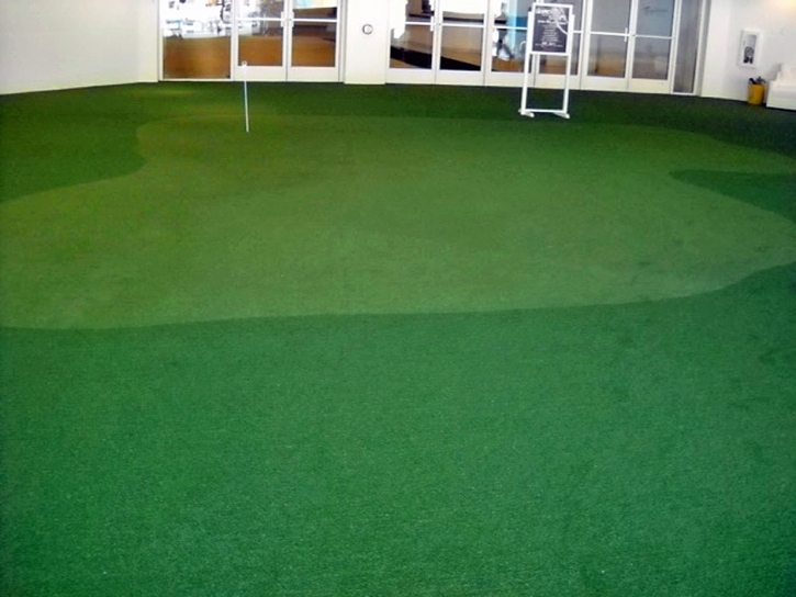 Plastic Grass Commercial Point, Ohio Home Putting Green, Commercial Landscape