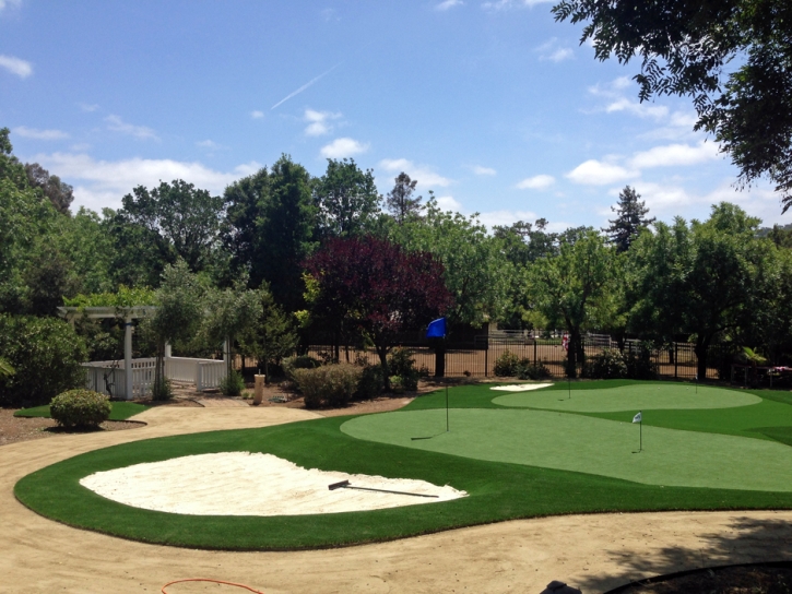 Plastic Grass Junction City, Ohio Backyard Putting Green, Front Yard Landscaping