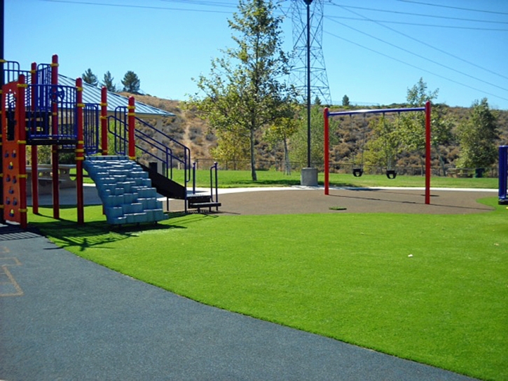 Plastic Grass Marengo, Ohio Landscaping Business, Parks