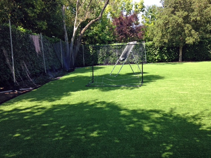 Plastic Grass Wellston, Ohio Rooftop, Backyard Designs