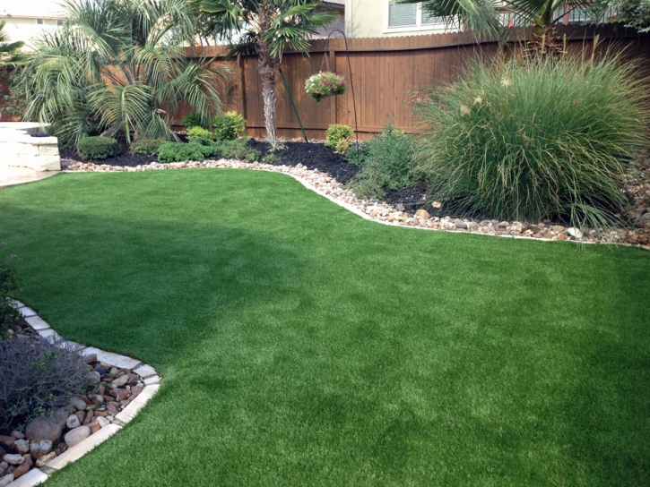 Synthetic Grass Clarksville, Ohio Watch Dogs, Backyard Landscaping Ideas