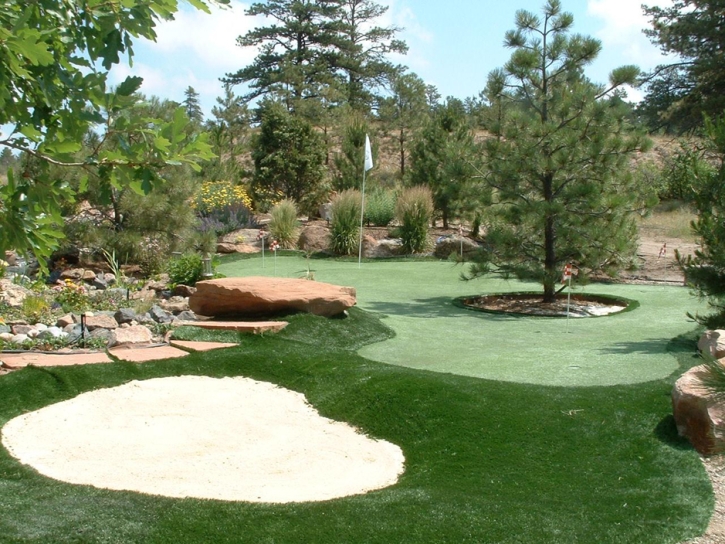 Synthetic Grass Cost Coalton, Ohio Putting Green Grass, Beautiful Backyards