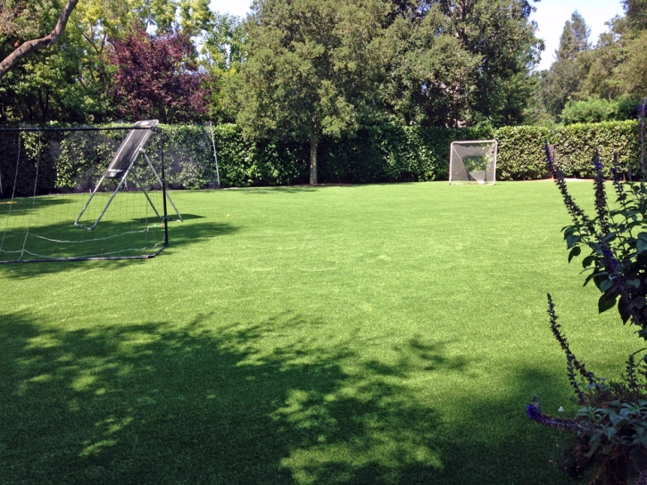Synthetic Grass Cost Iberia, Ohio Stadium, Backyard Landscaping Ideas