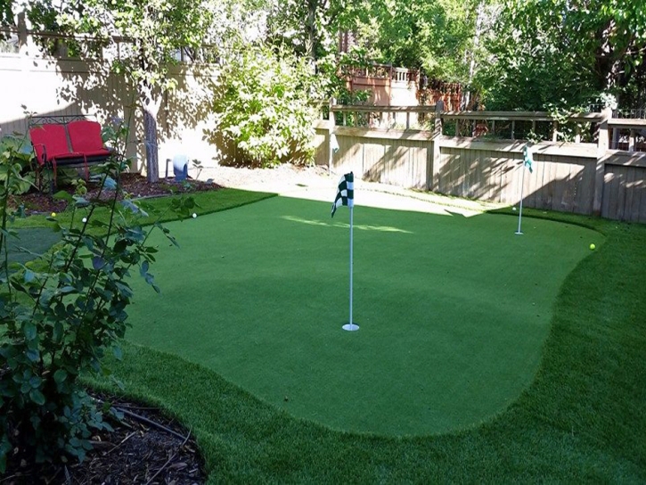 Synthetic Grass Cost Murray City, Ohio Backyard Putting Green, Backyard