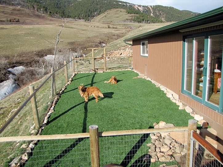 Synthetic Grass Cost Pancoastburg, Ohio Watch Dogs, Backyard Makeover