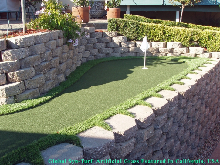 Synthetic Grass Cost Upper Arlington, Ohio Artificial Putting Greens, Backyard Landscape Ideas