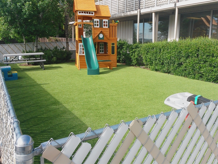 Synthetic Grass Ontario, Ohio Athletic Playground, Backyard Landscaping