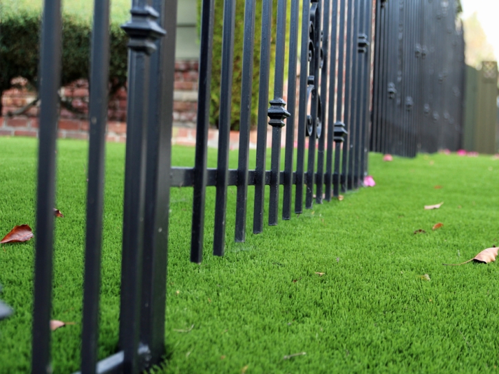 Synthetic Grass South Zanesville, Ohio Garden Ideas, Front Yard Landscape Ideas