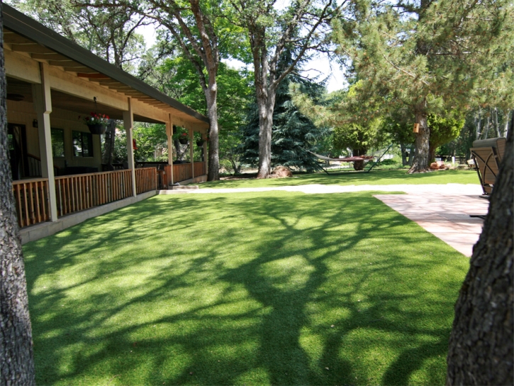 Synthetic Grass Trimble, Ohio Landscape Design, Backyard