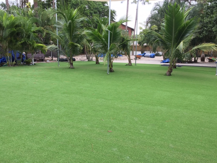 Synthetic Lawn Albany, Ohio Roof Top, Commercial Landscape