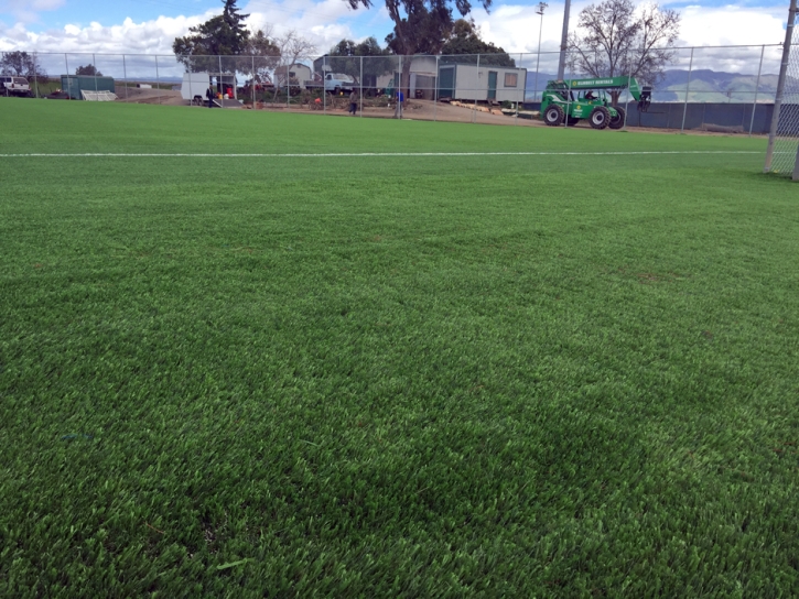 Synthetic Lawn Zaleski, Ohio Sports Turf