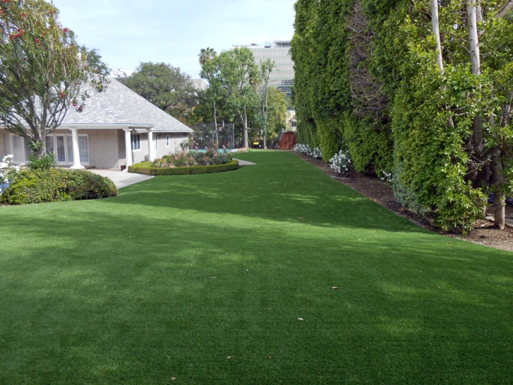 Synthetic Turf Albany, Ohio Rooftop, Small Front Yard Landscaping