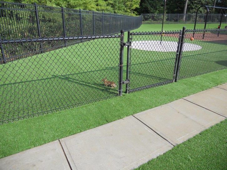Synthetic Turf Hemlock, Ohio Landscaping Business, Parks