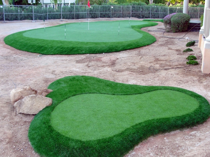 Synthetic Turf Kirby, Ohio Indoor Putting Greens, Front Yard