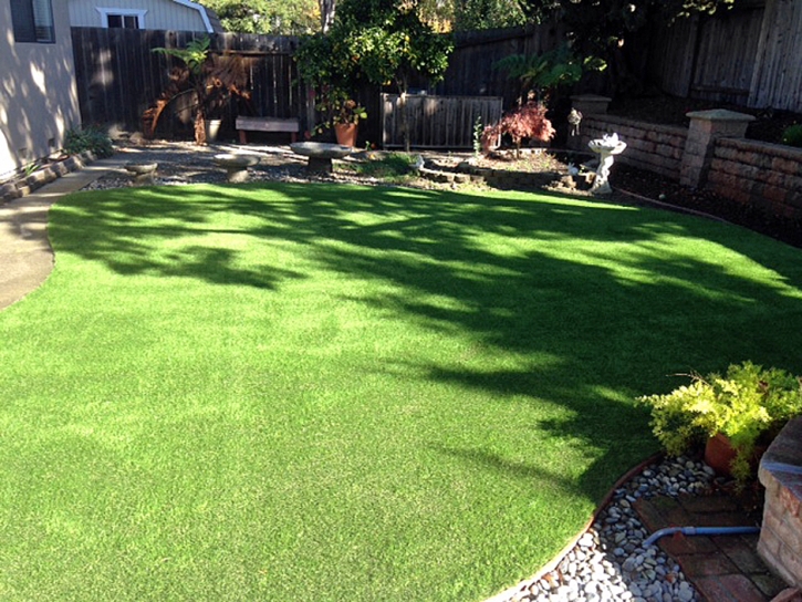 Synthetic Turf Philo, Ohio Home And Garden, Backyard Landscaping Ideas