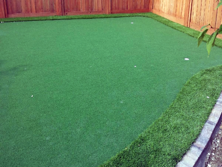 Synthetic Turf Sparta, Ohio Outdoor Putting Green, Backyard Landscaping