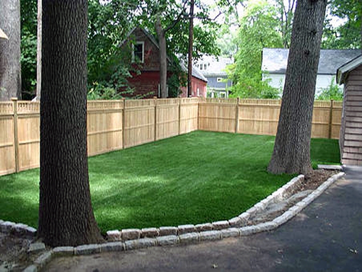Synthetic Turf Supplier Amesville, Ohio Dog Park, Backyard Garden Ideas