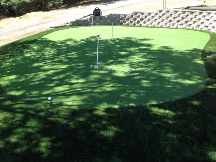 Synthetic Turf Supplier Cheshire, Ohio Indoor Putting Green, Backyard Designs