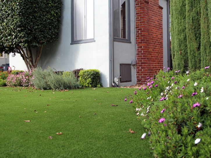 Synthetic Turf Supplier Sulphur Springs, Ohio Design Ideas, Front Yard Landscaping