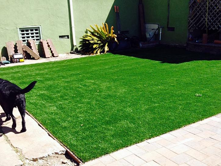 Turf Grass Cumberland, Ohio Pet Paradise, Backyard Design