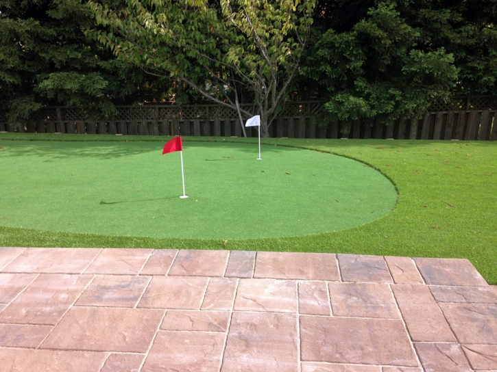 Turf Grass Farmersville, Ohio Backyard Putting Green, Backyard Landscaping Ideas