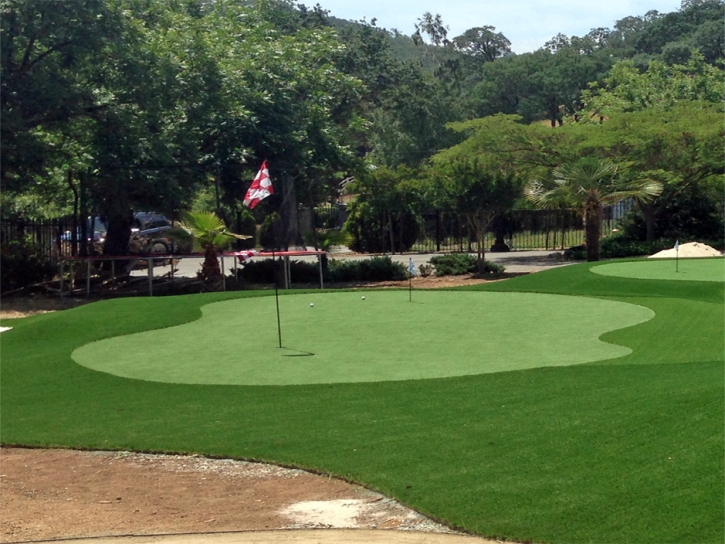 Turf Grass Rendville, Ohio Diy Putting Green, Front Yard Design